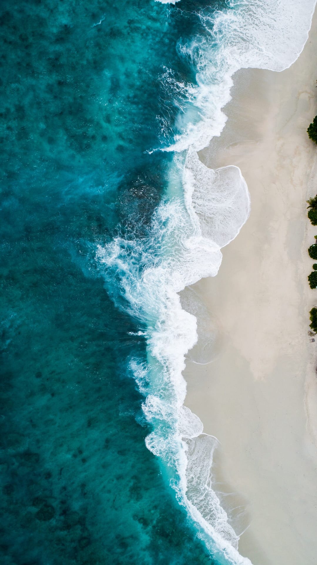 shifaaz-shamoon-okVXy9tG3KY-unsplash